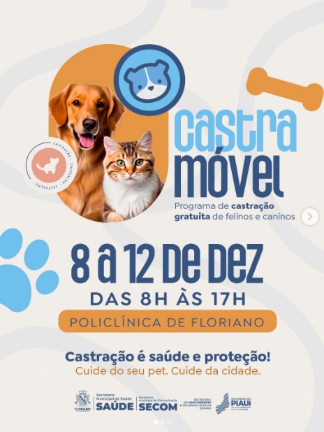 Castramóvel chega a Floriano com serviço gratuito de castração para cães e gatos
