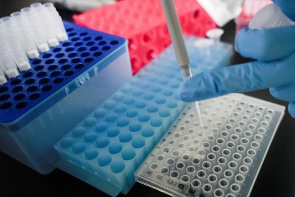 PI registra novo recorde com 215 casos de coronavírus em 24h; estado tem 2.852 positivos e 91 mortes