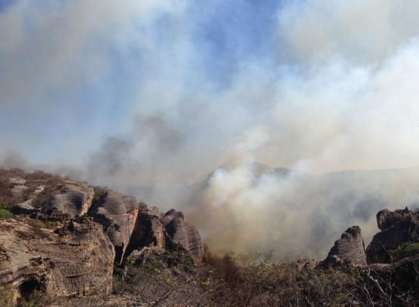 Brigadistas e aviões tentam conter fogo na Serra da Capivara