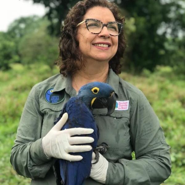 Segundo Neiva Guedes, a presen&ccedil;a das aves &eacute; um importante indicador de sa&uacute;de ambiental, que quase chegou ao fim(Imagem:Reprodu&ccedil;&atilde;o/Facebook)