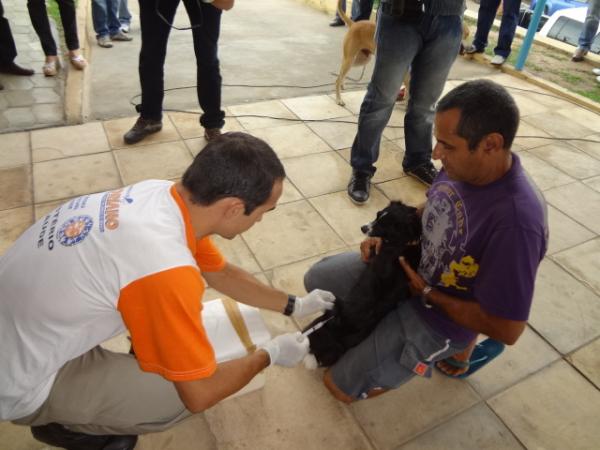 Realizado o dia ''D'' da Campanha de Vacina&ccedil;&atilde;o em Floriano.(Imagem:FlorianoNews)