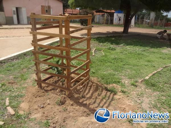 Prefeitura de Floriano inicia arboriza&ccedil;&atilde;o de Pra&ccedil;as.(Imagem:FlorianaoNews)