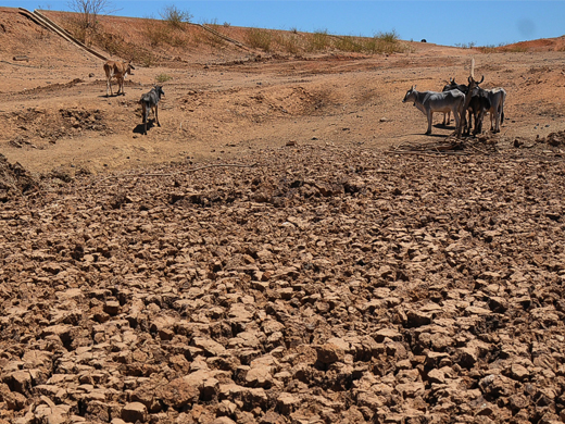 Seca no Piauí: mais de 40 municípios renovam decretos de emergência