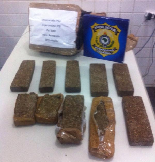 PRF apreende 8 Kg de maconha em ônibus de Brasília e motorista é preso