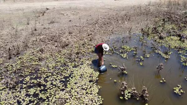 Moradora pega &aacute;gua suja em a&ccedil;ude durante forte seca no Piau&iacute;.(Imagem:TV Clube)