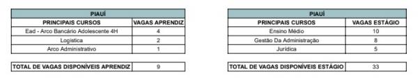 Para se candidatar a uma dessas vagas de estágio ou Jovem Aprendiz o estudante pode acessar o portal do CIEE.(Imagem:Divulgação)