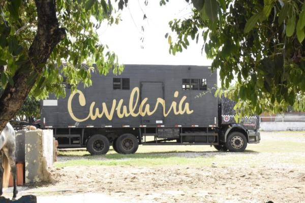 Cavalaria da PM garante seguran&ccedil;a p&uacute;blica e inclus&atilde;o social.(Imagem:Francisco Leal)