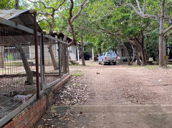 Casal &eacute; encontrado morto em ch&aacute;cara em Teresina e pol&iacute;cia investiga suspeita de feminic&iacute;dio(Imagem:Aniele Brand&atilde;o)