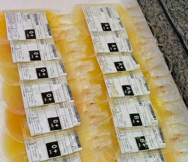  Hemopi inicia produ&ccedil;&atilde;o e distribui&ccedil;&atilde;o de plaquetas em Floriano e descentraliza servi&ccedil;o.(Imagem:Divulga&ccedil;&atilde;o)