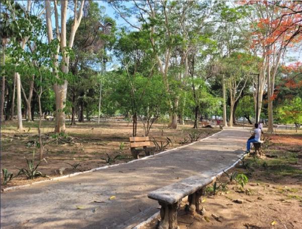 Governo vai lançar primeiro Castramóvel do estado e novo programa ambiental na segunda (5)