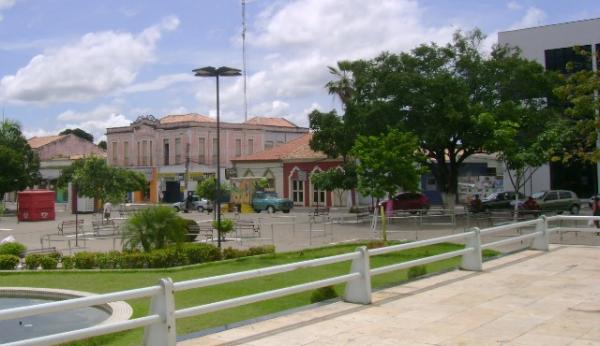 Pasta do Meio Ambiente se manifesta sobre corte de árvore na Praça Dr. Sebastião Martins
