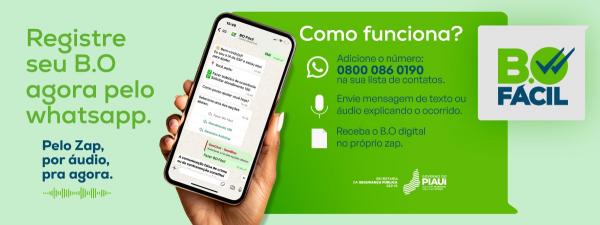 Governo do Piauí facilita denúncias e registra mais de 50 mil ocorrências pelo BO Fácil; saiba como usar(Imagem:Divulgação)