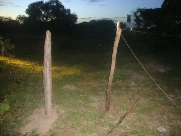 Terreno &eacute; invadido no bairro Campo Velho.(Imagem:FlorianoNews)