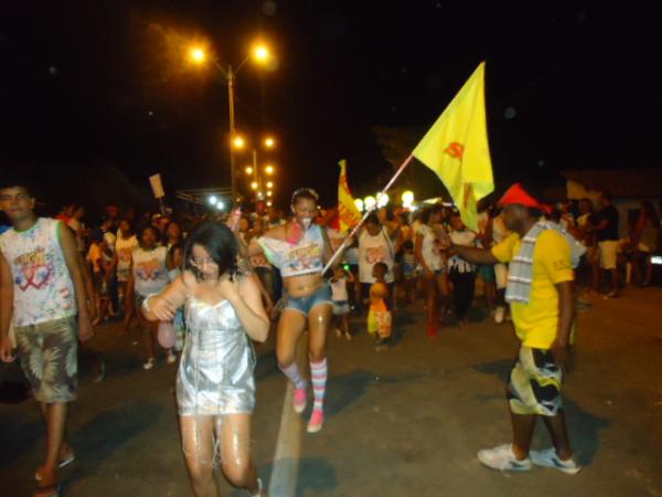 Sete Escolas do Grupo de Acesso se apresentaram no 1&ordm; dia de desfiles em Floriano.(Imagem:FlorianoNews)