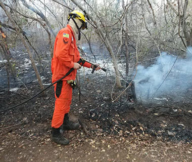 Incêndio do Norte do PI durou 6 dias e devastou 10km de área de preservação