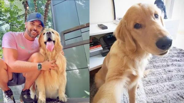 Jo&atilde;o Fantazzini e Joca, c&atilde;o que morreu em transporte a&eacute;reo da Gol.(Imagem:Arquivo pessoal)