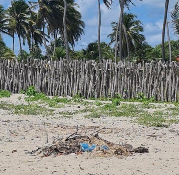 Moradores registram lixo queimado e at&eacute; seringa em praia do Piau&iacute;.(Imagem: Arquivo pessoal)