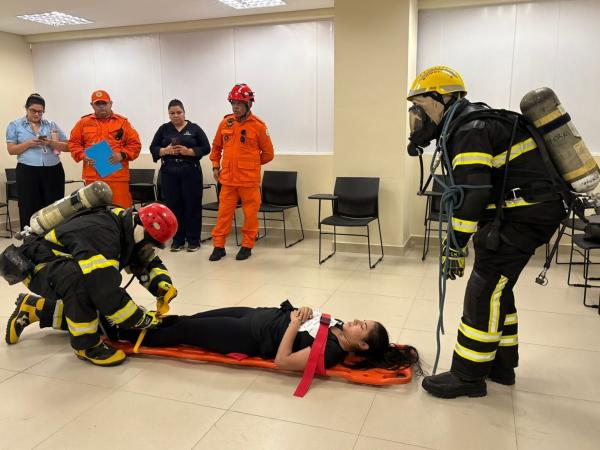 Com mais de 500 brigadistas formados, meta do Piauí é ultrapassar 2 mil profissionais capacitados até 2026(Imagem:Ascom Sead)