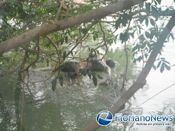 Corpo de jovem desaparecido é encontrado no Rio Parnaíba