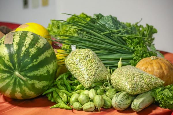 Mais de 50% da merenda servida nas escolas estaduais do Piau&iacute; vem da agricultura familiar e beneficia produtores locais(Imagem:Ascom Seduc)