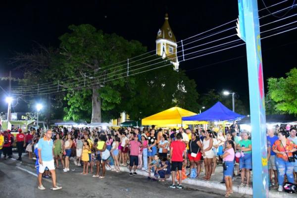 Desfile das Escolas de Samba encanta público na Avenida Getúlio Vargas.(Imagem:Secom)