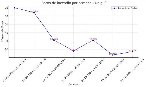 Semarh aponta diminui&ccedil;&atilde;o de 47% dos inc&ecirc;ndios florestais no m&ecirc;s de setembro em compara&ccedil;&atilde;o a 2023.(Imagem:Divulga&ccedil;&atilde;o)