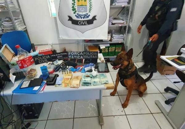 Materiais e objetos apreendidos pelas polícias Civil e Militar do Piauí durante a Operação Braço Forte.(Imagem:Reprodução/PCPI)