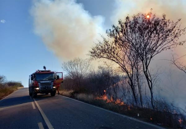 Piau&iacute; registra mais de 2.400 mil focos de queimadas e ocupa a 5&ordf; posi&ccedil;&atilde;o do pa&iacute;s.(Imagem:Corpo de Bombeiros)