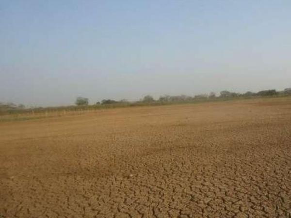 Mais de 180 municípios do Piauí ainda sofrem com a seca