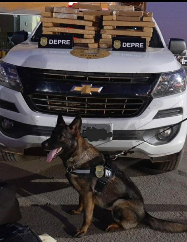 Pol&iacute;cia Civil apreende tabletes de entorpecentes no Sul do Piau&iacute;.(Imagem:Divulga&ccedil;&atilde;o/Pol&iacute;cia Civil)