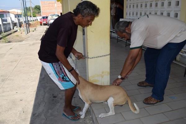 Floriano realiza campanha de vacinação antirrábica(Imagem: Waldemir Miranda)
