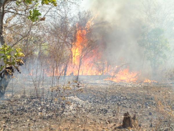 Incêndio deixa Floriano coberta por nuvem de fumaça