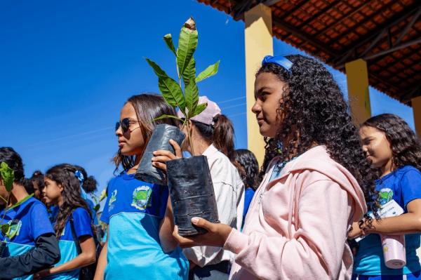 Mais de 66 mil mudas de plantas s&atilde;o distribu&iacute;das pela Semarh em 2025(Imagem:Ascom Semarh)