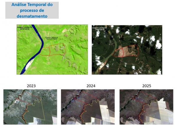 Desmatamento recua quase 60% no Piauí, maior redução entre estados com cerrado(Imagem:Divulgação)