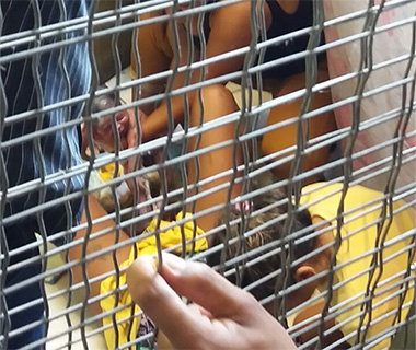Mulher sente dores e dá a luz a um menino no Shopping da Cidade