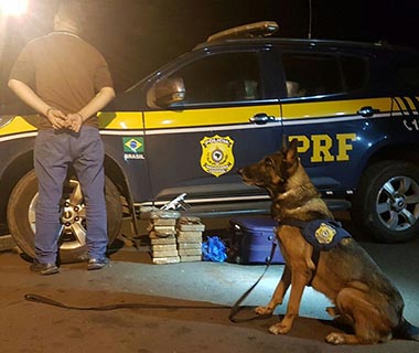 PRF apreende mais de 30 kg de drogas escondidas em ônibus que saiu de Floriano