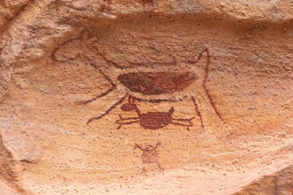 Detalhe de pintura pr&eacute;-hist&oacute;rica no Parque Nacional da Serra da Capivara(Imagem:Celso Tavares/G1)