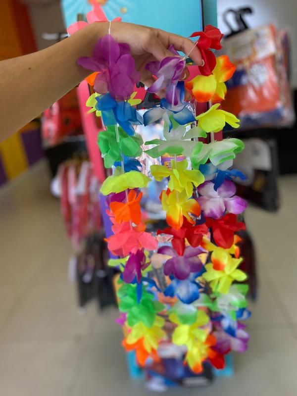 Garanta fantasias e acessórios de Carnaval na loja Toys
