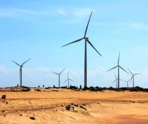 Piauí é terceiro maior produtor de energia eólica do Brasil