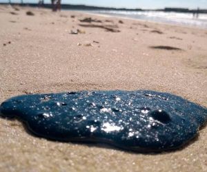 Ibama confirma que DNA de óleo nas praias é venezuelano
