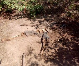Carvoeiros encontram ossada humana em matagal em Batalha