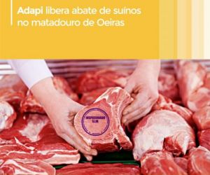 Adapi libera abate de suínos no matadouro de Oeiras