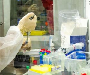 Brasil registra 24.759 novos casos e 713 mortes por Covid-19 em 24h