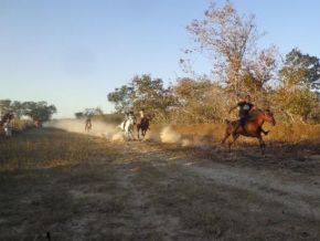 Festa dos vaqueiros é comemorada com corrida de cavalos localidade Manga