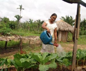 Emater inicia cadastro de mulheres rurais para projeto