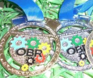 Piauí conquista 9 medalhas de ouro na Olimpíada de Matemática