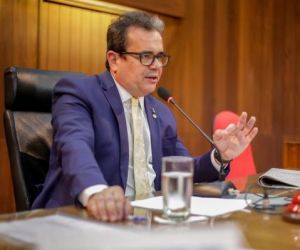 Henrique Pires elogia desempenho dos três senadores do Piauí