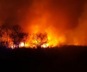 Incêndio atinge região de mata na zona rural de Jurema, no Sul do Piauí
