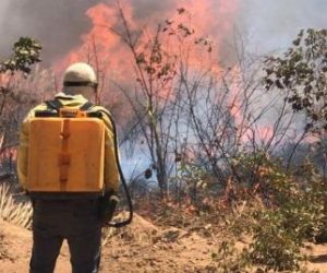 Audiência: aumento considerável de queimadas preocupa autoridades no Piauí