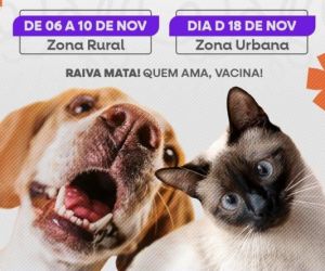 Inicia a campanha de vacinação antirrábica na zona rural de Floriano